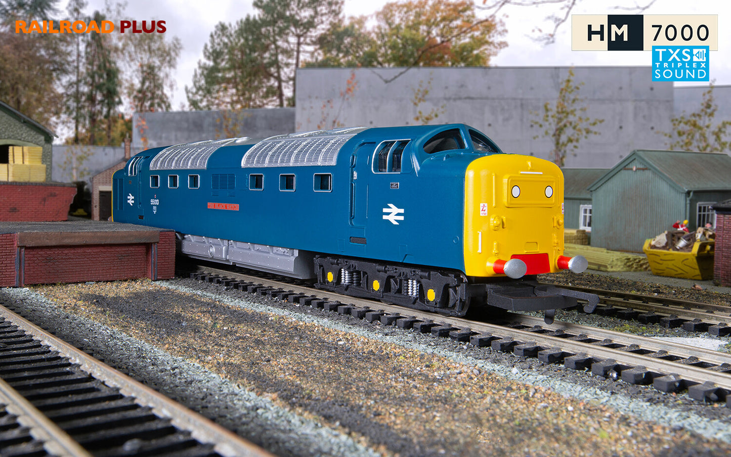 Hornby R30049TXS - Railroad Plus (enhanced Livery) BR Class 55 Co-Co 'The Black Witch' No. 55013 (WITH SOUND)