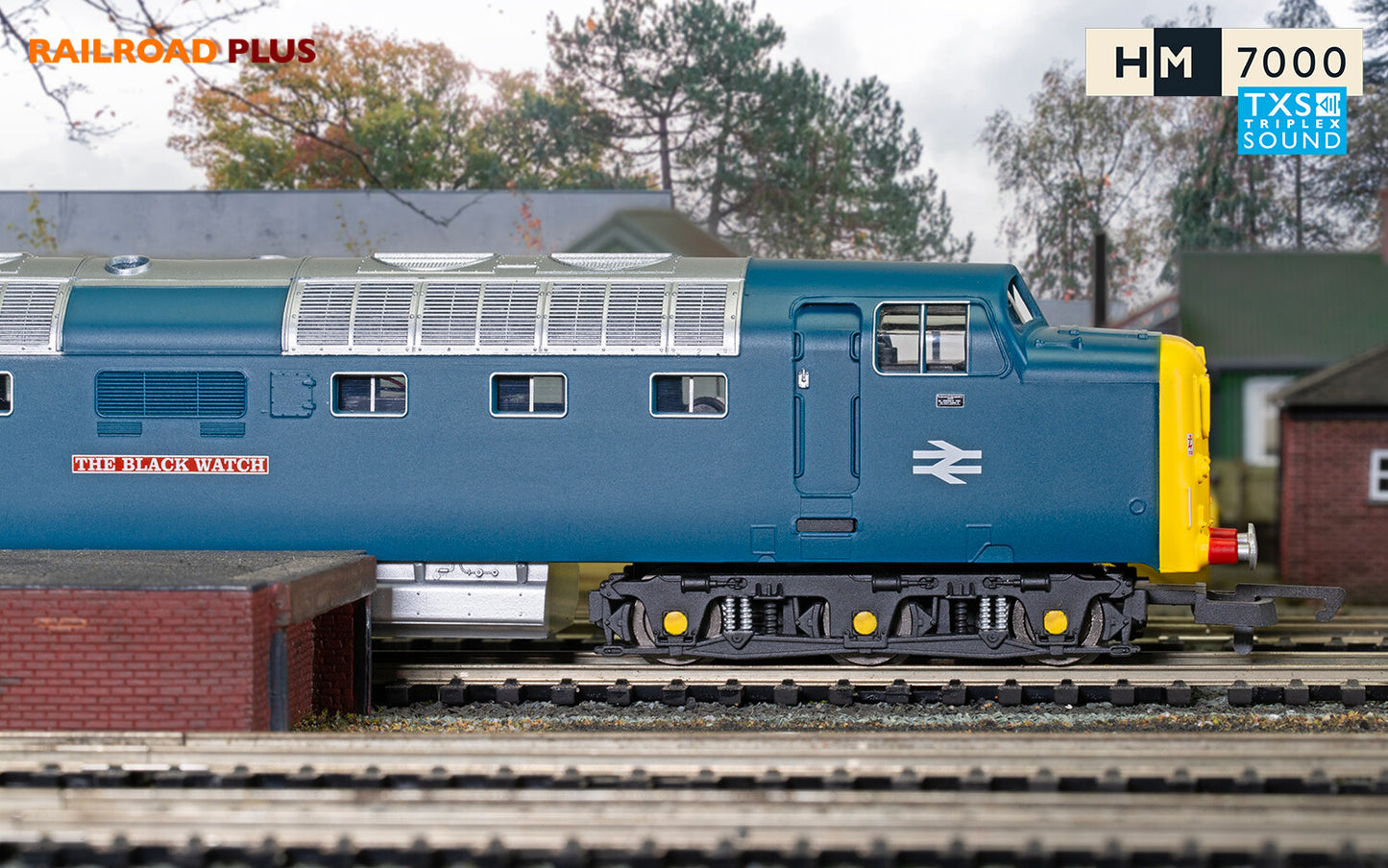 Hornby R30049TXS - Railroad Plus (enhanced Livery) BR Class 55 Co-Co 'The Black Witch' No. 55013 (WITH SOUND)