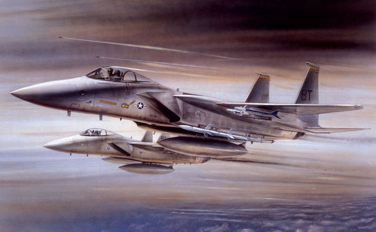 Airfix A55311 - McDonnell Douglas F-15A Eagle
