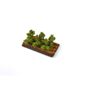 Gaugemaster GM1620 - Tomato Plants (6)