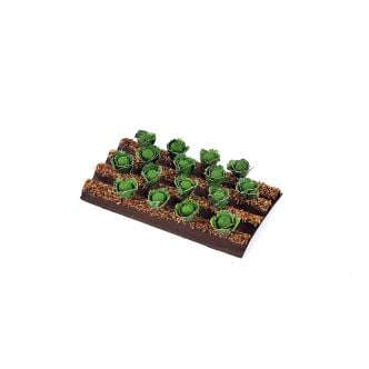 Gaugemaster GM1622 - White Cabbage Plants (16)