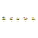 Gaugemaster GM1645 - Flowers (250)