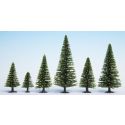 Noch 26825 - Spruce (25) Hobby Trees 5-14cm